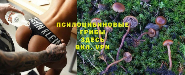 прущая мука Алзамай