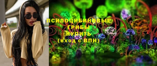 прущая мука Алзамай
