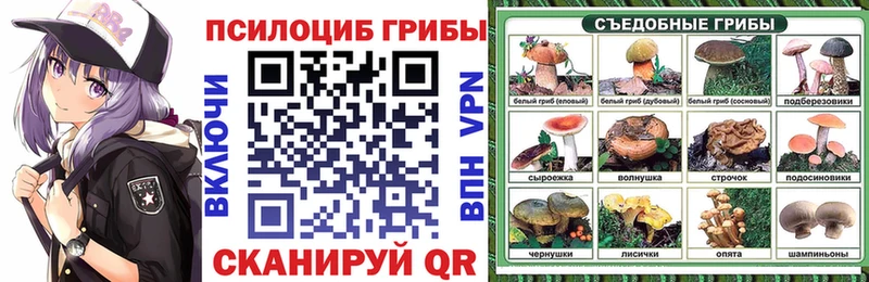 где найти   Завитинск  Галлюциногенные грибы GOLDEN TEACHER 